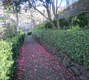 Monte Palace Tropical Garden