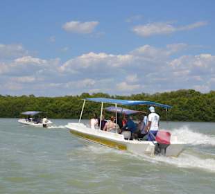 Nationalpark Celestun