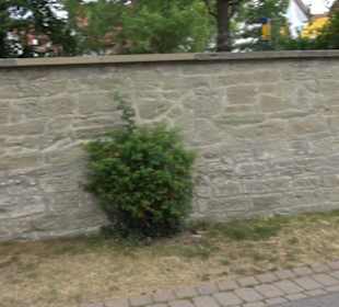 Evangelisches Pfarrhaus Kuppingen 