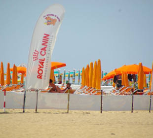 Strand von Bibione 06-2010