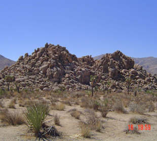 Joshua Tree National Park