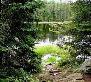 Algonquin Provincial Park, Beaver Pond.