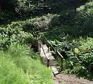 Wanderweg PRC9SMI zum Wasserfall