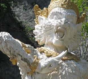 В зоопарке Бали