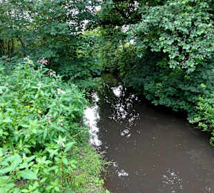 Spaziergang durch das Schönebecker Auetal