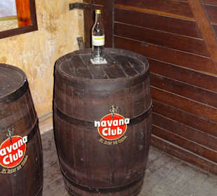 Havana Club Museum