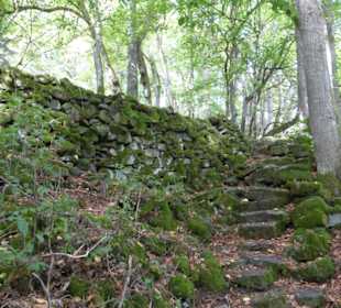 Aufstieg zum Kleinen Gleichberg 