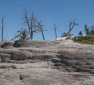 Mammoth Hot Springs