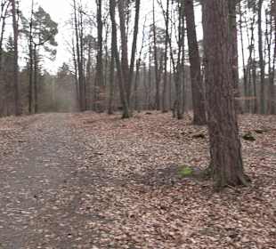 Unterjesinger Wengertwegle