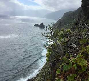 Inselrundfahrt Madeira