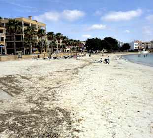 Strand am Hafen