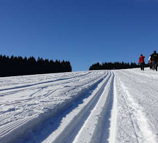 Wandern Neuhaus am Rennweg