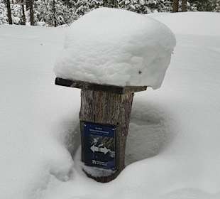 Wandern St. Jakob im Defereggental
