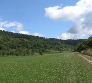 Wanderweg Ammerbucher Gigeleswegle