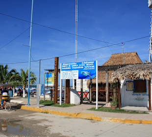 Chiquila