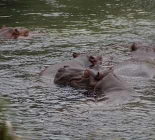 Tsavo West Nationalpark