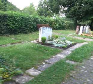 Friedhof Dapfen