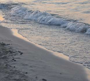 Strand von Can Picafort