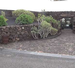 Jameos del Agua