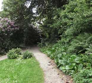 Alter botanischer Garten