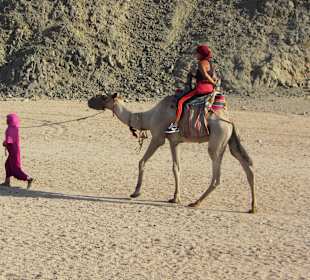 Jeep-Safari mit Bob Satey