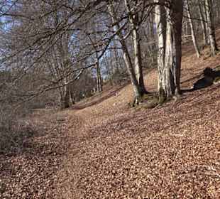 Naturerlebnispfad Meidelstetten