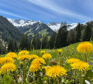 Wandern Mittelberg (Vorarlberg)