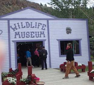 Eingang zum Wildlife Museum