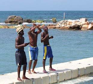 Dolphin Cove Lucea