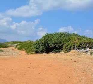 Ein paar Inspirationen von unserer Strandwanderung