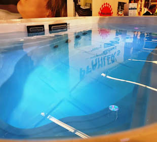 Schwimm-Pool