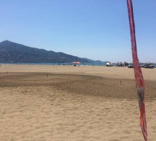 Bootstour Turtle Beach