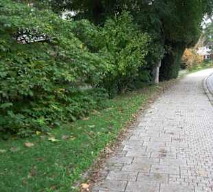 Kneipp Anlage Kressbronn