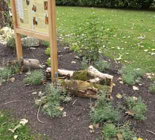 Blühendes Neresheim