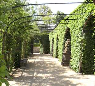 Residenz Würzburg Park