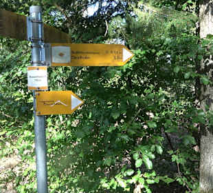 Bussen Schöpfungsweg Offingen