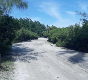 Der Weg ist das Ziel