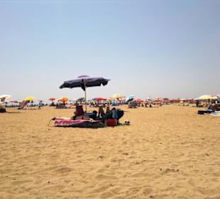 Der Hundestrand dei Pini