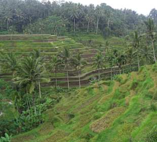 Bali 2010