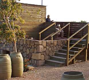 Hangar37, the most realistic Airsoft Theme Park