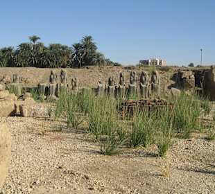 Karnak Komplex, im Tempel Mut