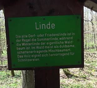 Baumlehrpfad Sontheim
