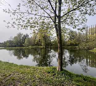 Wandern Dillingen/Saar