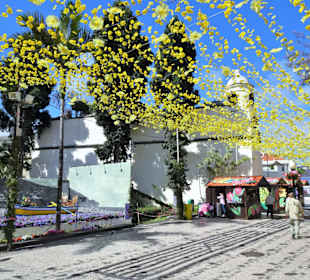 Impressionen vom Blumenfestival in Funchal
