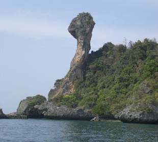 Chicken Island