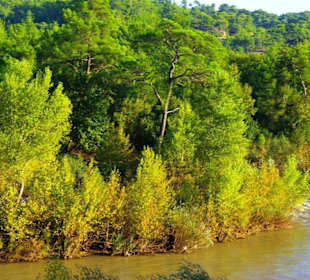 Rafting Selge National Park & Landschaft/An- & Abfahrt