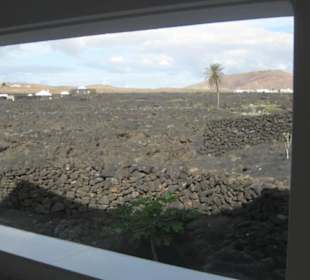 Fundacion Cesar Manrique