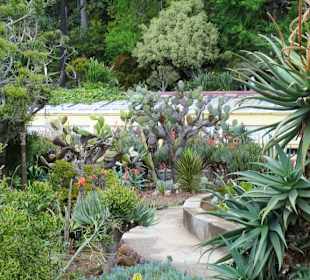 Rundgang durch den Botanischen Garten von Funchal