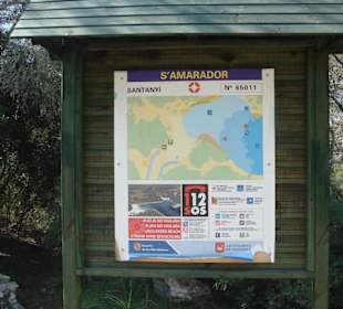 Strand Playa S'Amarador (3)