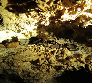 Cenote Calavera